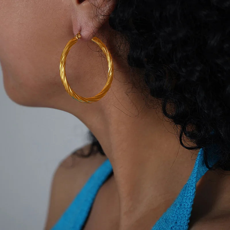 Twisted Stainless Steel Hoop Earrings