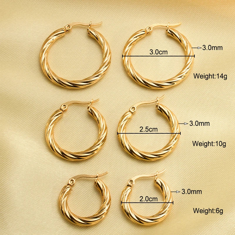 Twisted Stainless Steel Hoop Earrings