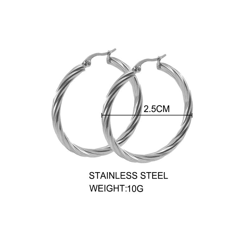Twisted Stainless Steel Hoop Earrings