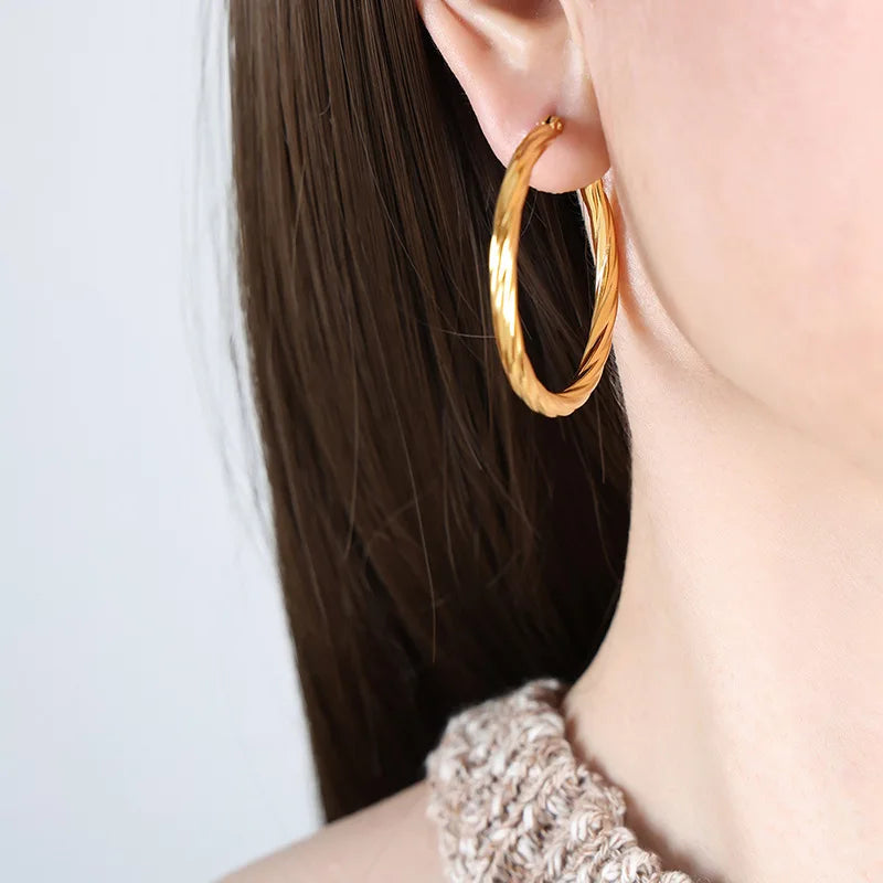 Twisted Stainless Steel Hoop Earrings