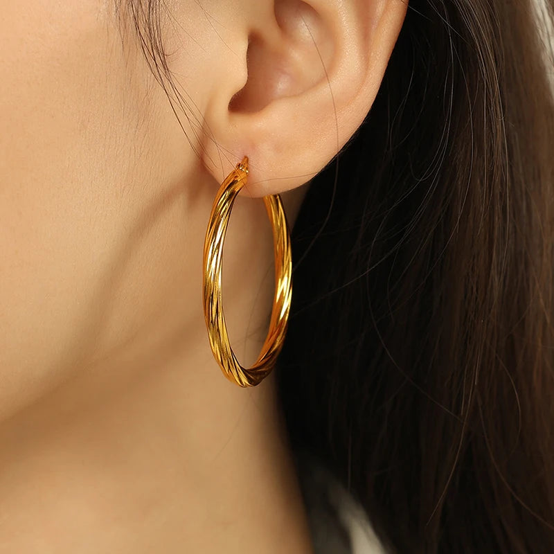 Twisted Stainless Steel Hoop Earrings