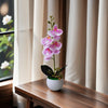 Artificial Orchid in Pot