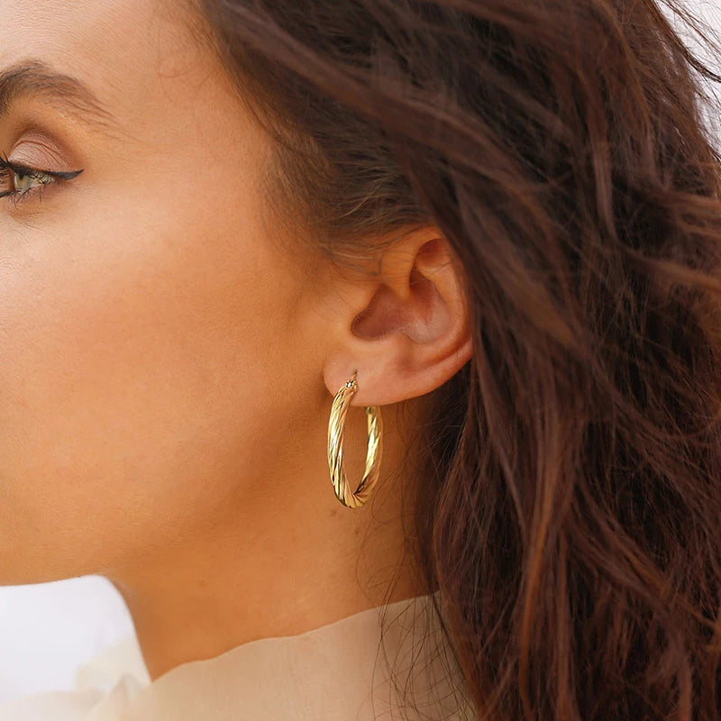 Twisted Stainless Steel Hoop Earrings