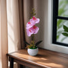 Artificial Orchid in Pot