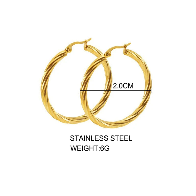 Twisted Stainless Steel Hoop Earrings